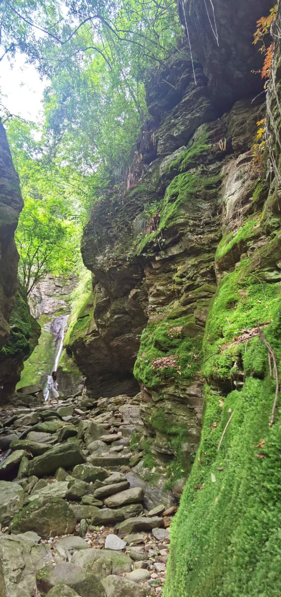 8sWqg5VRFe0hHfo43gj62d_qU124jYHiVZdz7zl6soExT9w5iCJe39a-kchaavTl