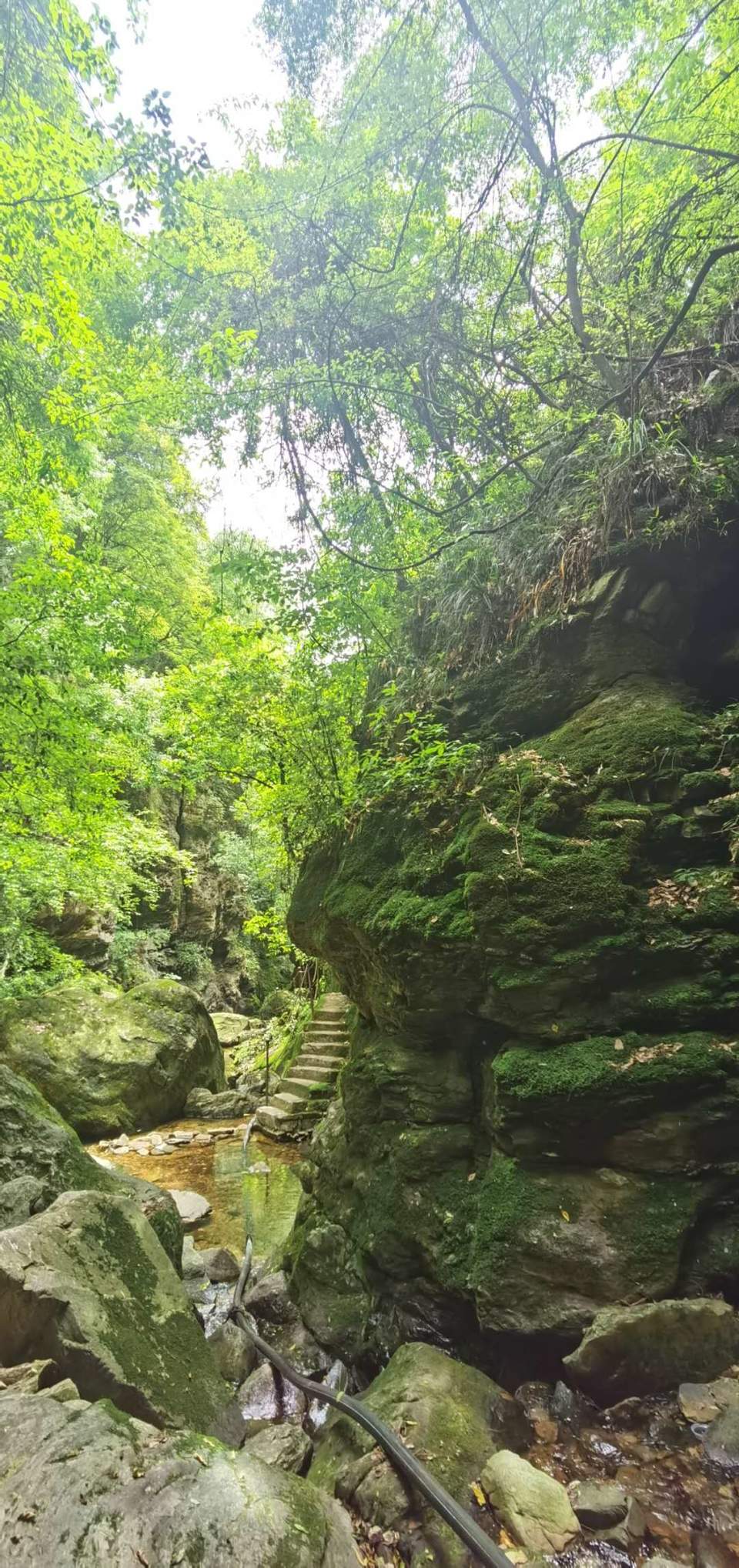 wGsblvtnABrJgirC_9wNtmo3HeUB7bPZfxEEjXA2X1r3rgF8VIpeOr1F2RGwqX2a