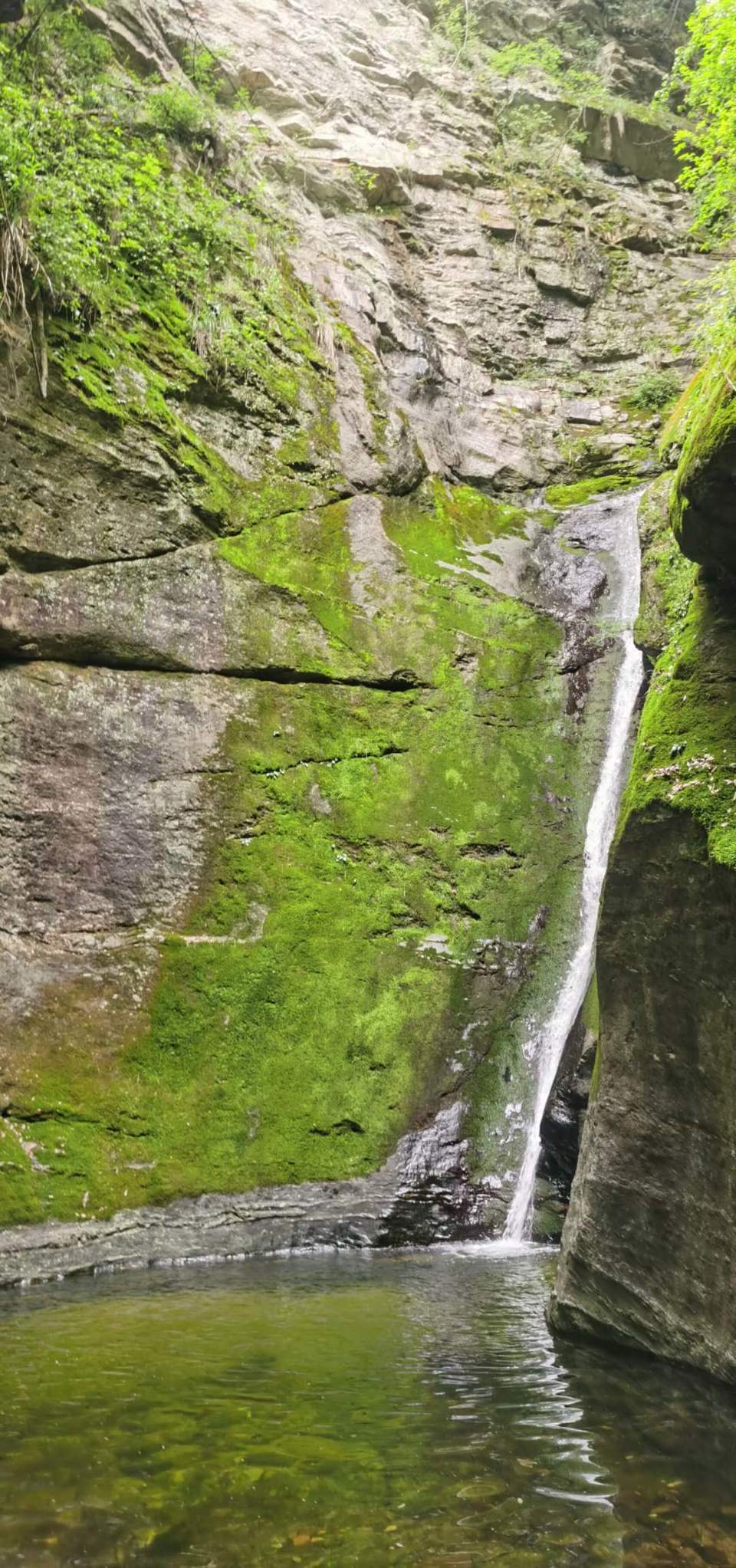 tDRhQbaszbKZ1u31oLP1l8UFwr3pnlC15nUlITFi3vo-Svk186r4y9NuIcGmPn6Z