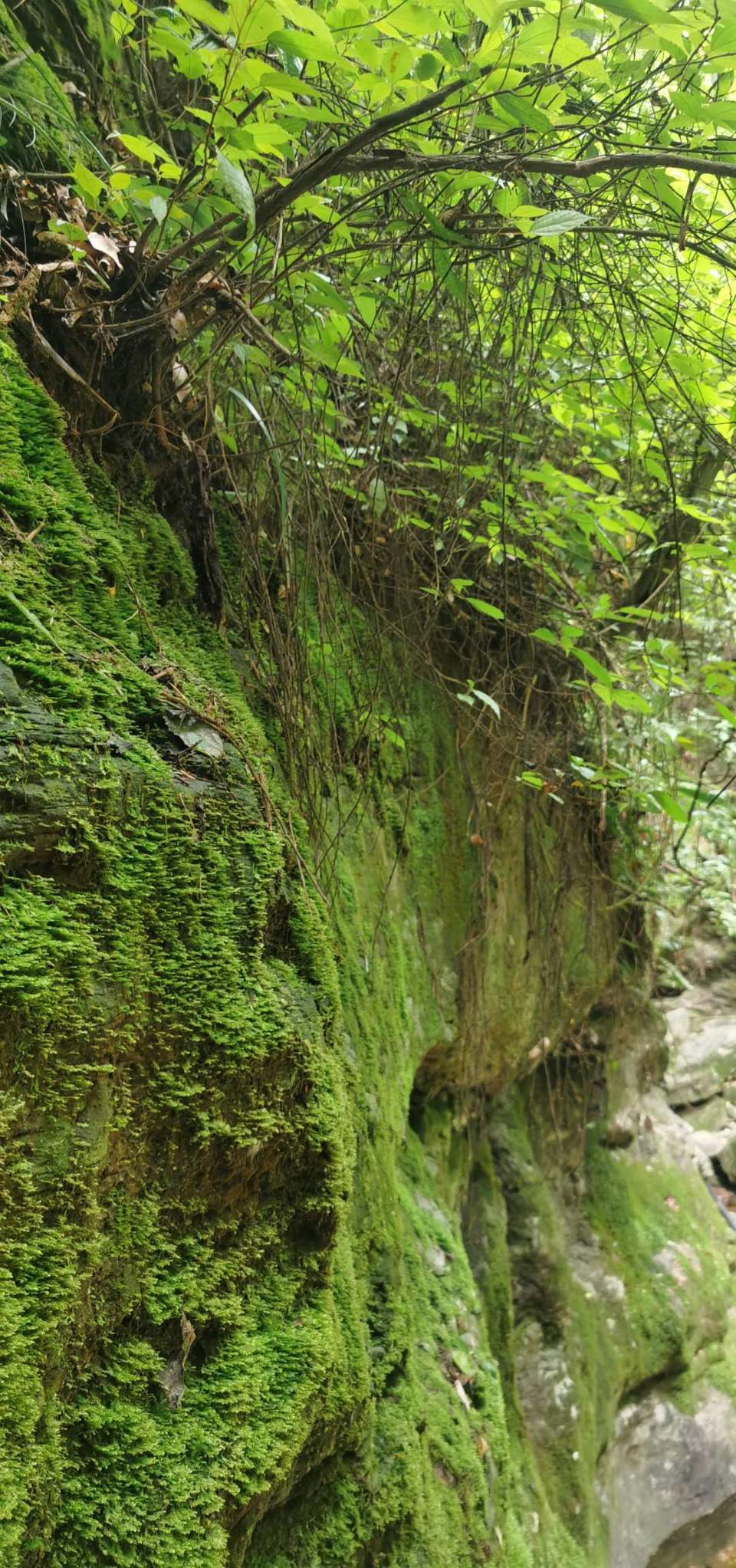 RpGqwh-r8bF3TcHqFOhtKv9ZaIkjiqB_ja-knJIMlzZdvOL6g91O1v6sAiN_I468