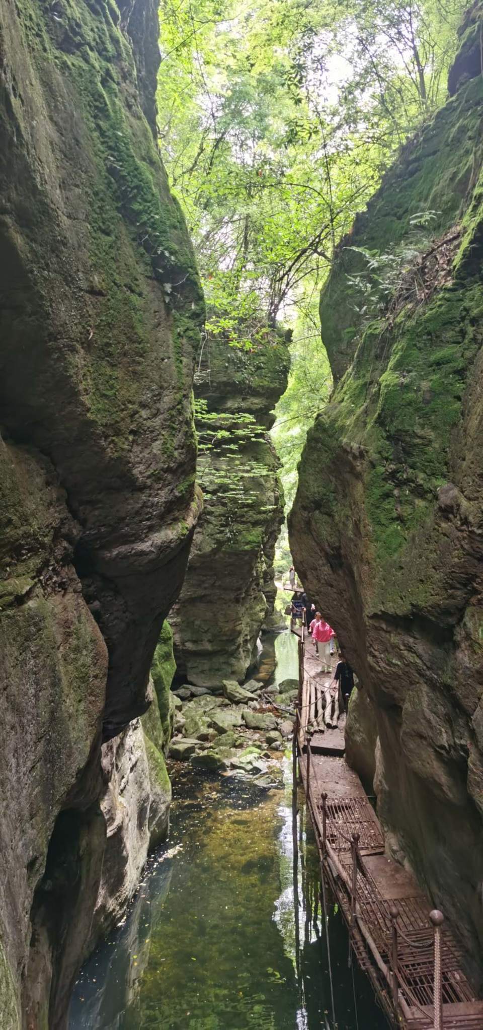 du2eA4isw3bP8XpZ6ZRiSu58ybV52LIj_pugGRSPZ7Q2_7gR93N6OKADaMFNlfcc