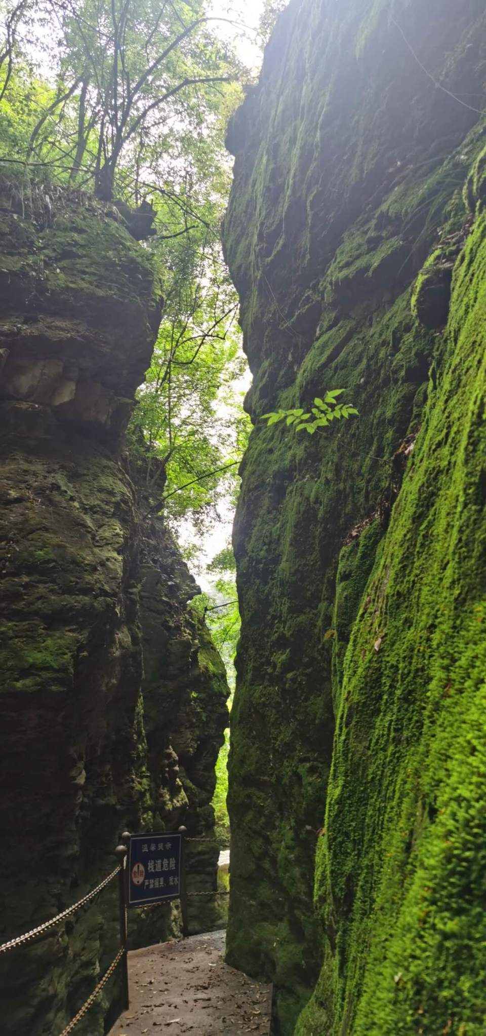 029_jtevAH2QELfKiVZC4dlBasWBBzMeuz5muqlJqjIddSylLFs6Z3-ahfO1eOoX