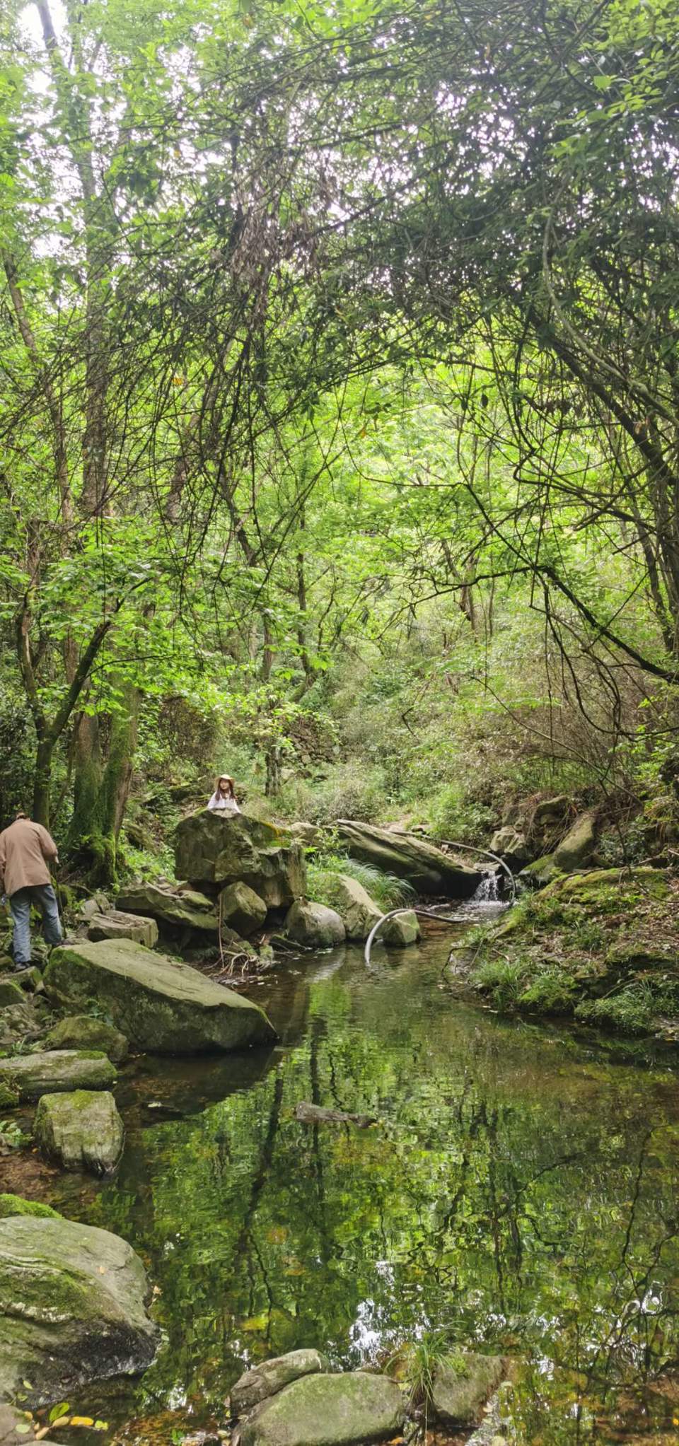 7uKZMHUX8CbvH4Oka5XhEoWReXSjxUkN7voapQ_svoXTSXi_62bXezi6Sp1UeP7M