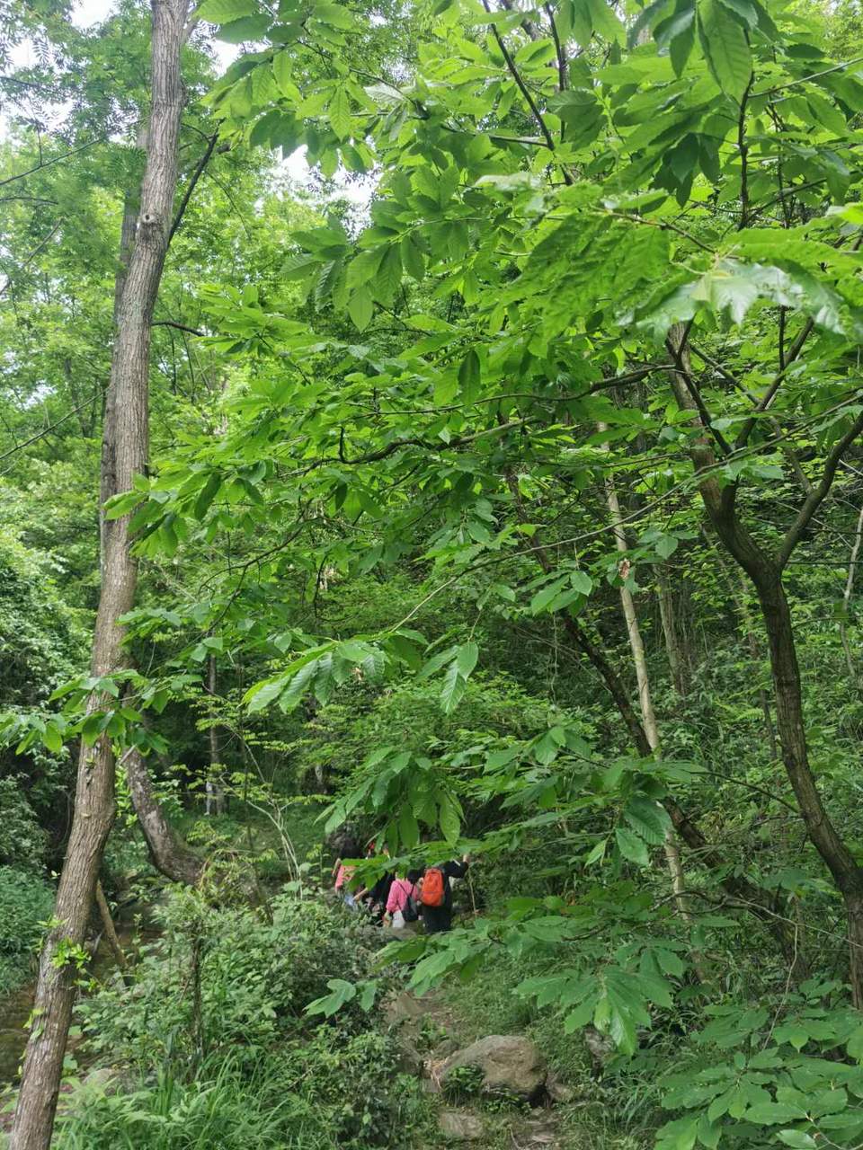 AY0SmbW7Bfp8ntpg2-HXz-_f7wIm_0z0M8JOn4tBLTydUyxM5O4OpeyJt4zXos8W