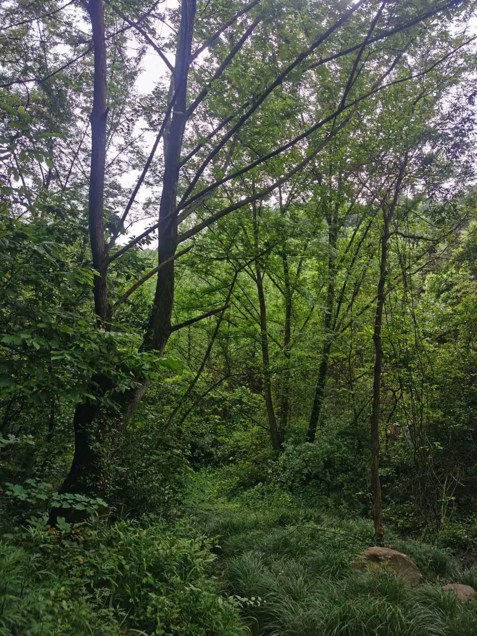 0KYWKNlQJFZLTNw54IyPM48eVJx38BR1htM950QyetO35E9owLTw5dwweempU6NX