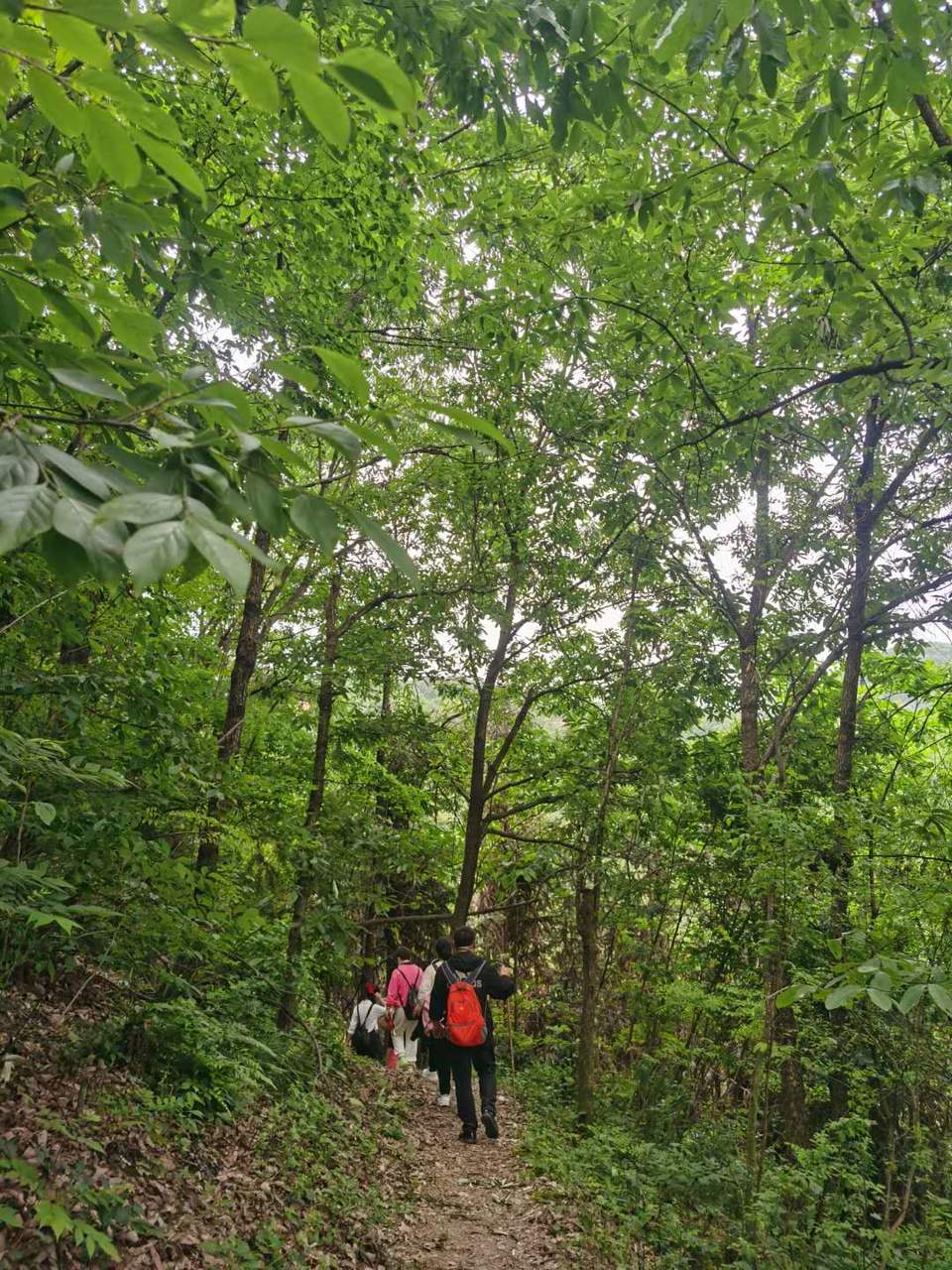 Dtby6sVDPQayDjqgi-V6sWDbmxREToCTJNaSQve7Dan3wO2CuPMdOAiDXIc8Y3zn