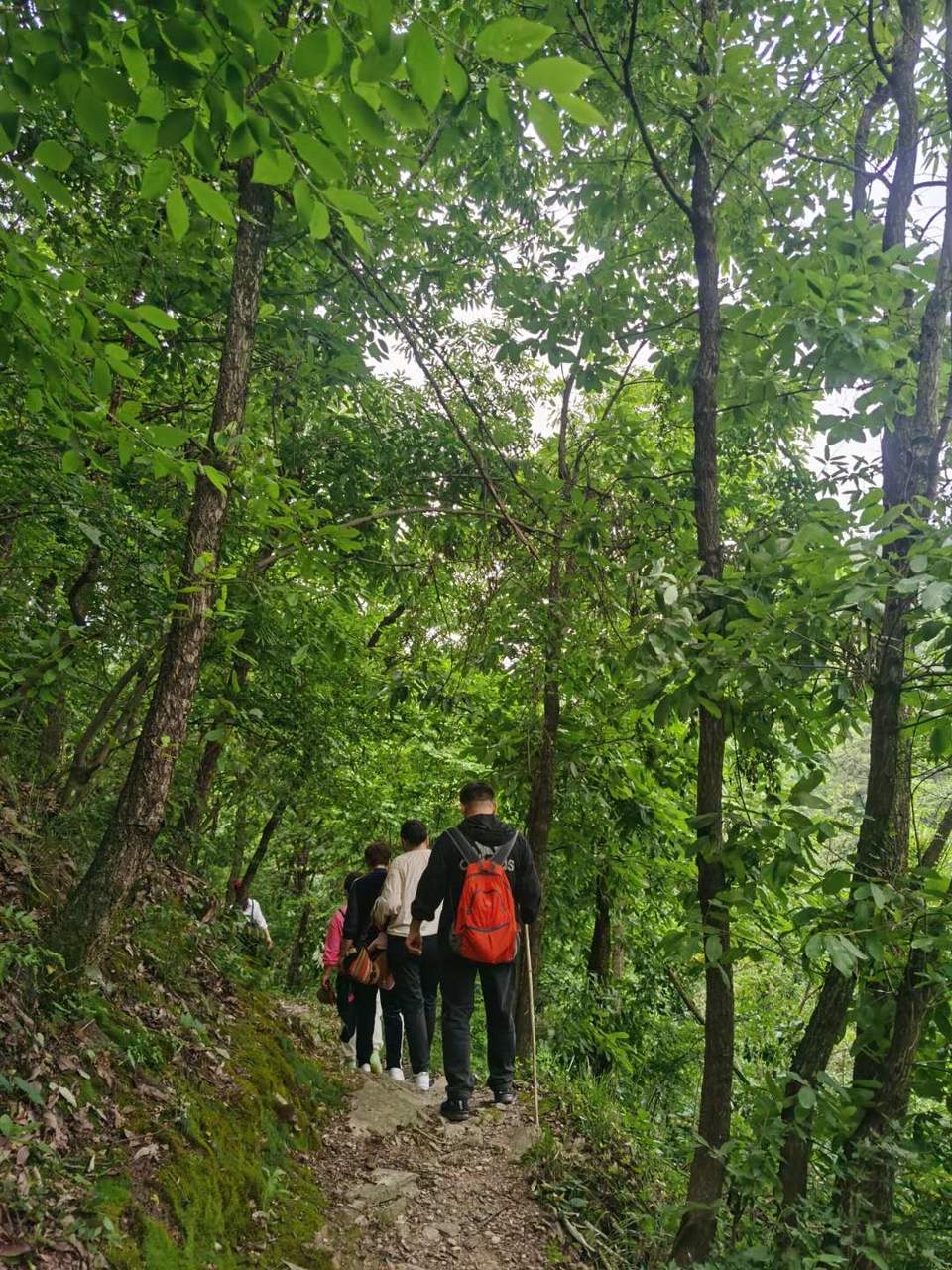 OvmqSZybFzQD4UWM6Aec9cCOLSw5U_AjKofwBkwO5pxm01xZvCukv6GbCvfUngPr