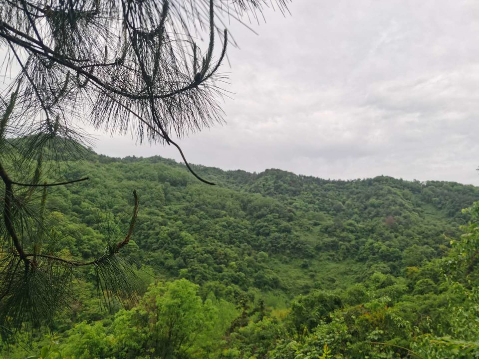 IvK1xezPT60g0phVfwgfQRBqsXKsHSmB9IsJ7IHr0JZMuMkO_eTWxi1sgvcTQ2kB