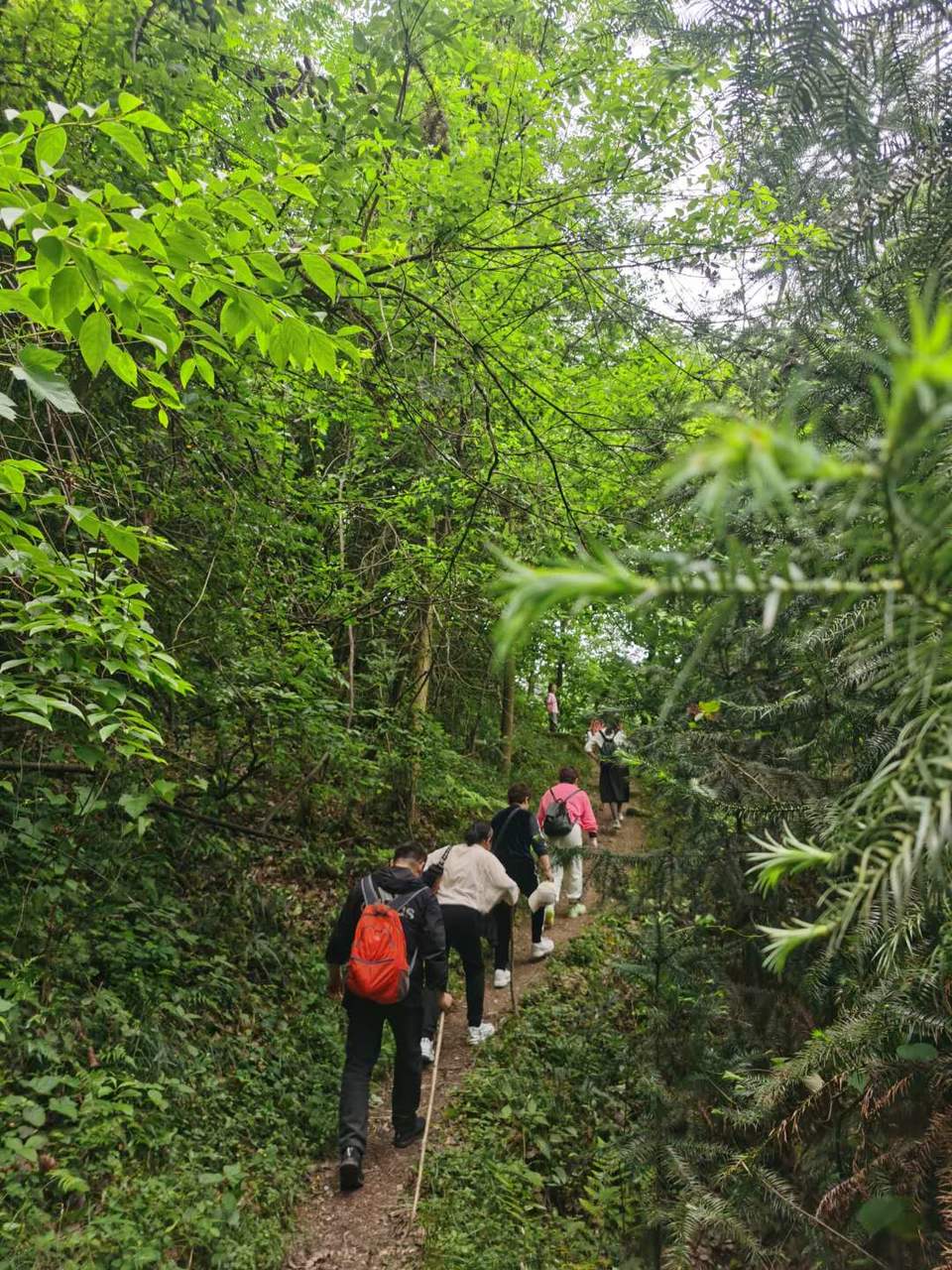 v-fCaYnRzAhdmPjd03rBpnBR-gUTqKyAO2i7gIpwHV5nvxP6eLyAjSh9VW1QgRf-