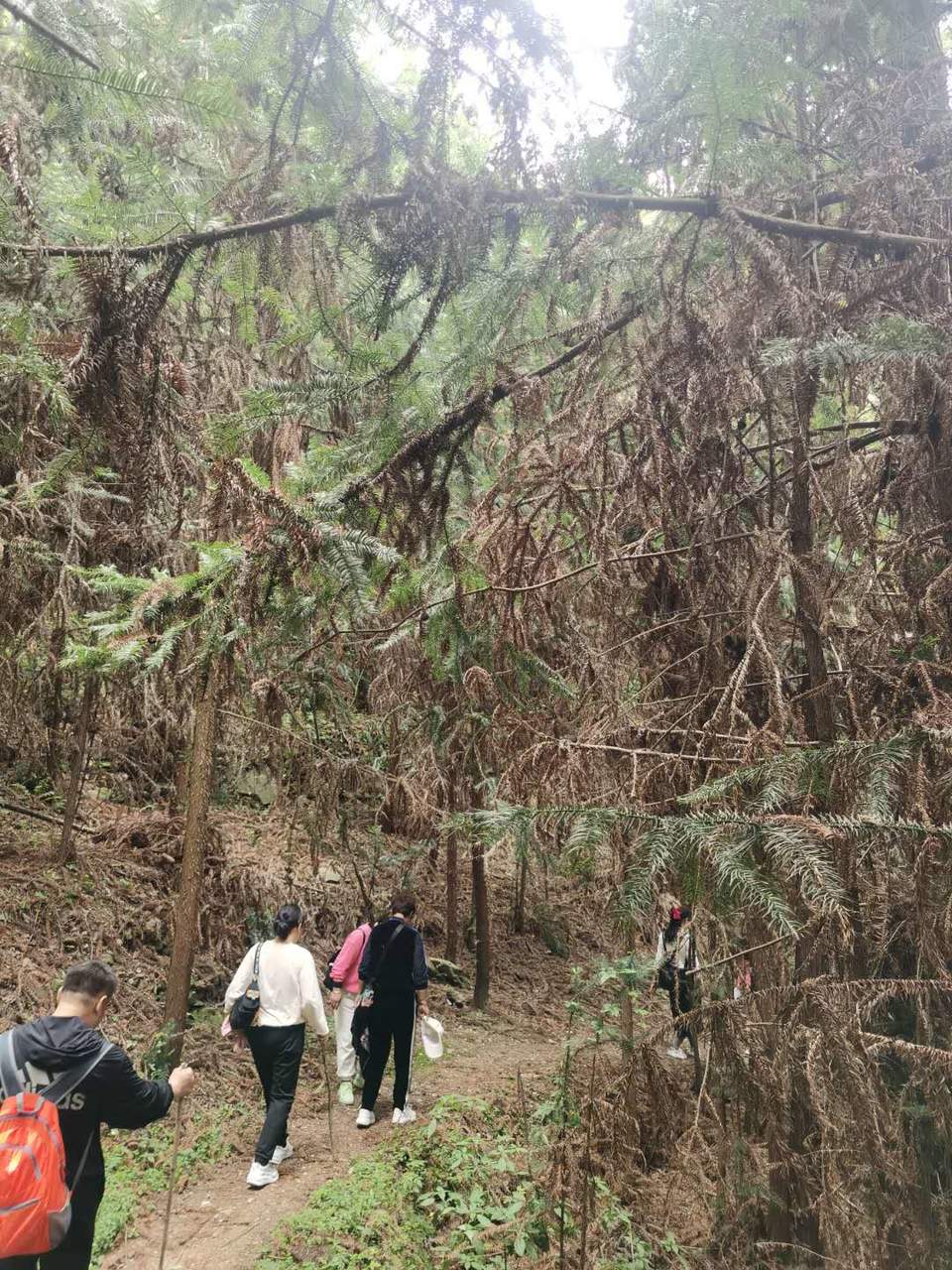 LD4spEkVbJpCtrFCw-iJLPKBQn4JH6CZKqotJmsQfE9Ekp0BAoxVRBS9Hcd5zAPi