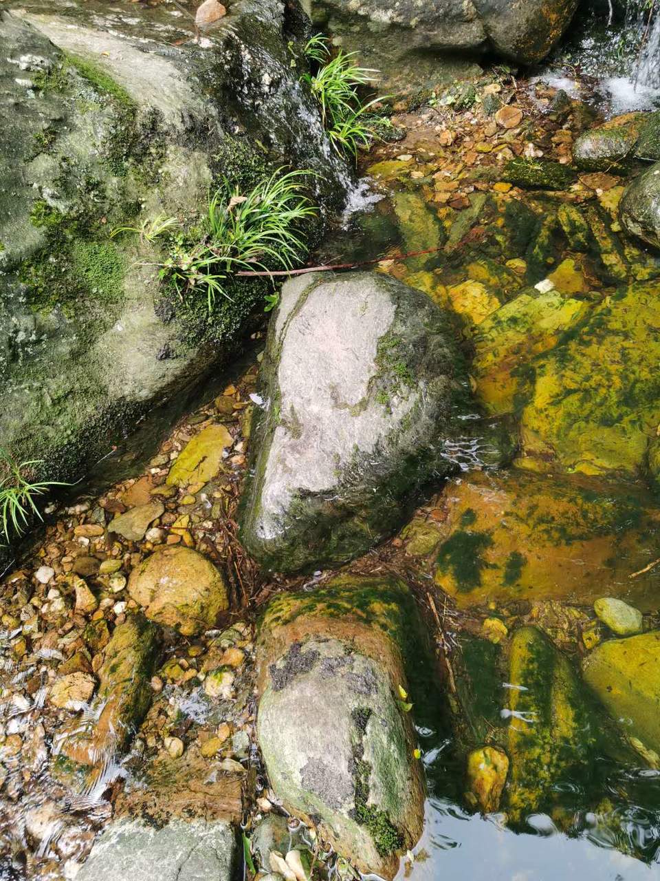 -bNsMwZtJaFfI9CTk3kM4STDbJwMyf8u-K_-iAJtq2dZsV_PTrPhkJiveQT29tZD