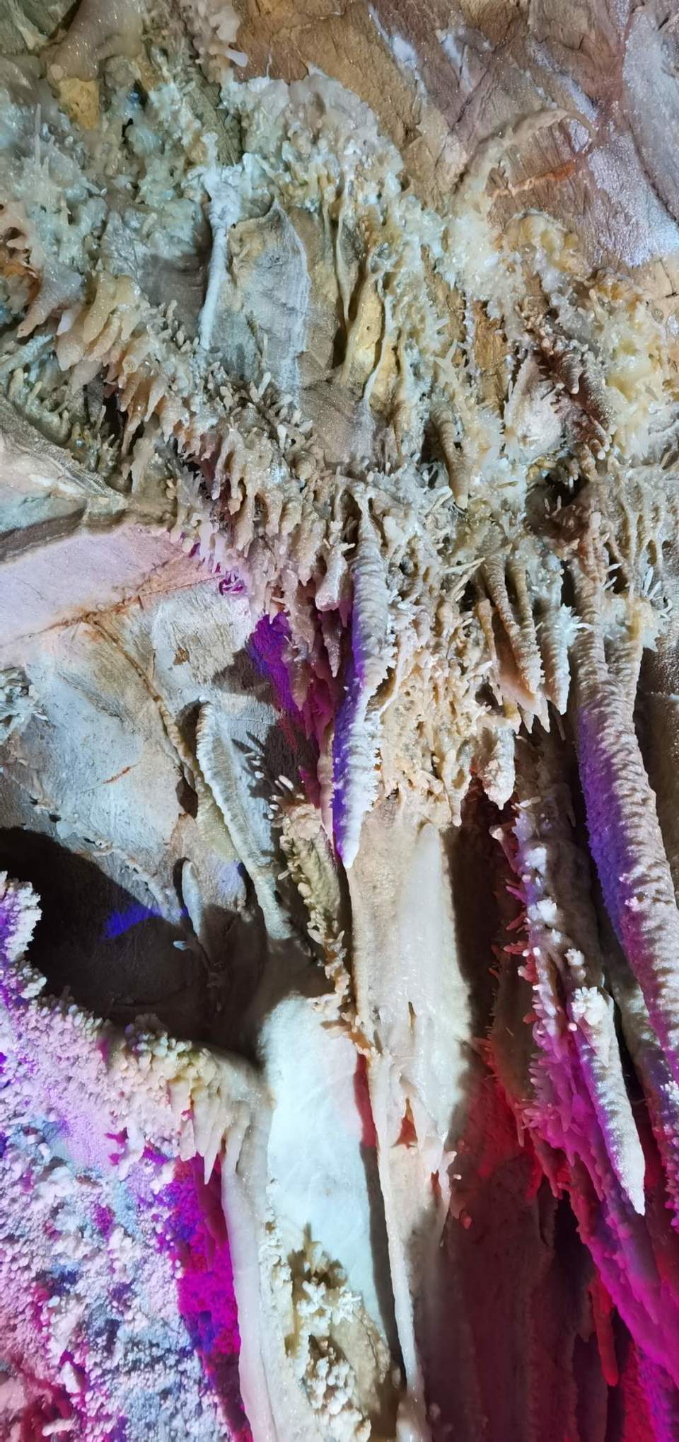 UzzPnD4fKYIQ3oMwoTeOwYy3tzeN9cxXo2NwjAt_O1Fnd8wjq08Wgy9JRzo6p63o