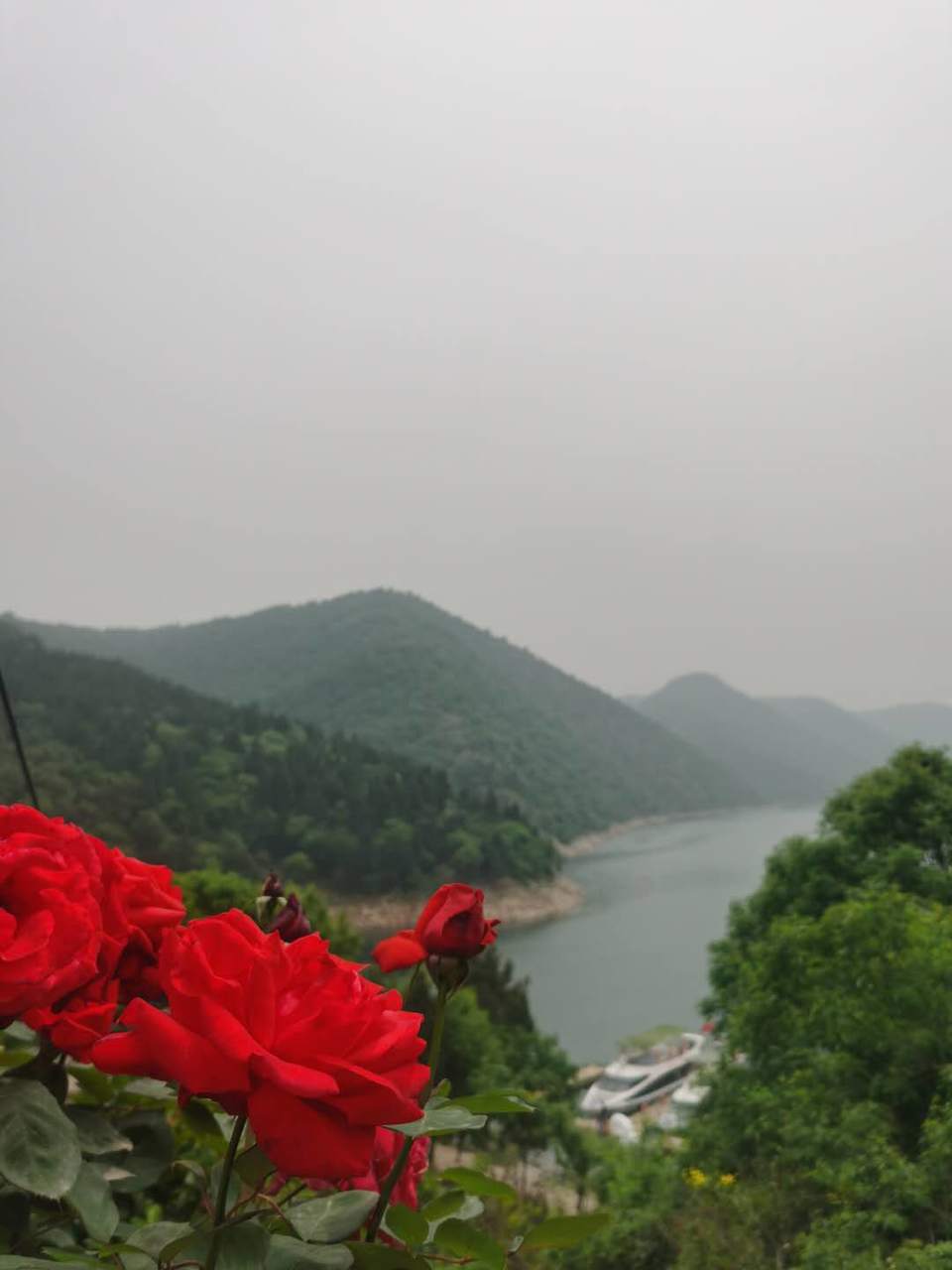 e4KLERQLnH_3AETKgWTU7Ccez44ZwN5j9DYE8Bi8Bkakb_c5bLbGv3ZH7AQ4wpJi