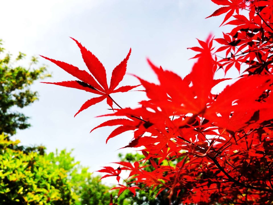 Rc191o7CQlVoQCGBhJEtP1QOoESYsRdcmclxa5LgKQVA5fCxpoOR5CuNEHLm6SWW