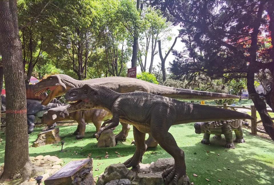 PKEJfl-II8DTCN6O44WUXmtgbtIi4owIaYJjii9mxKGv_2dbRzQ89JInCaxC2g6-