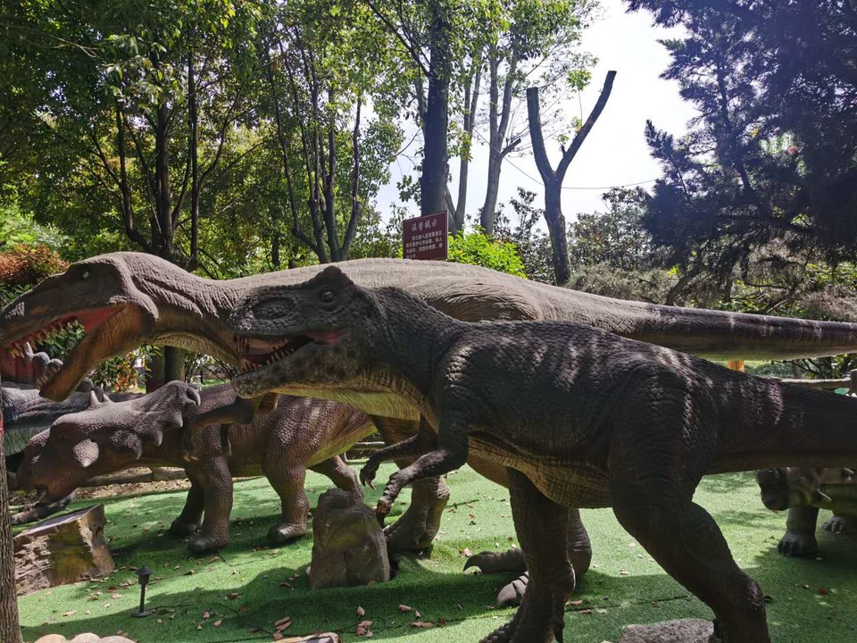 Eg2SCzDjeOWK78lrsPQAPotfoB504XIFlWNQyGR_oquROSv4FtDfjdn9RKfzJzJL