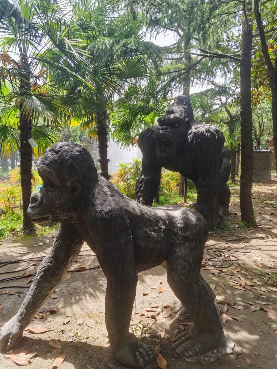 UEImJHA-aiKNqJxRAZtB7Jay2Xt5saxRVrT9HY6mVHRtXYm4rQeeIzoG6xzvkp-p