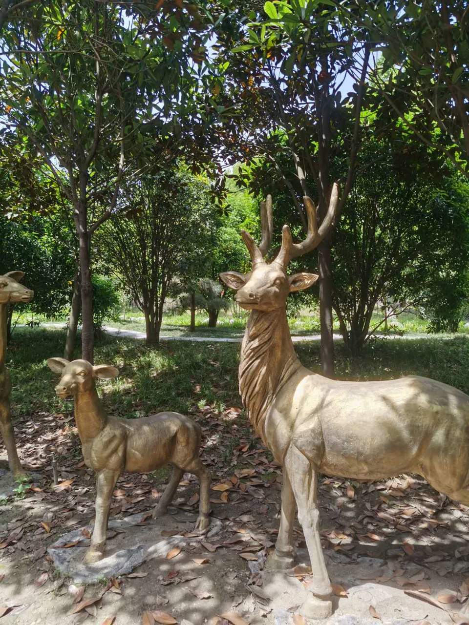 o3NS96EkYPTHnhmUmFexZJ_BIVhDQ4fnM2-FnRWnsuxo39HXYQJenyRBtDT-cYO-