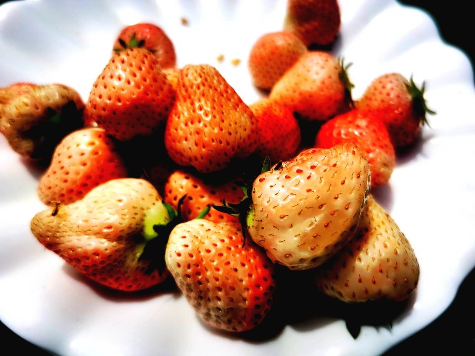 8mXIA7zohd6Qi9qHo_0oSE-QZgbmMbdKISP1qfFsG-LnWHZYQNqUxAugysB4edmA