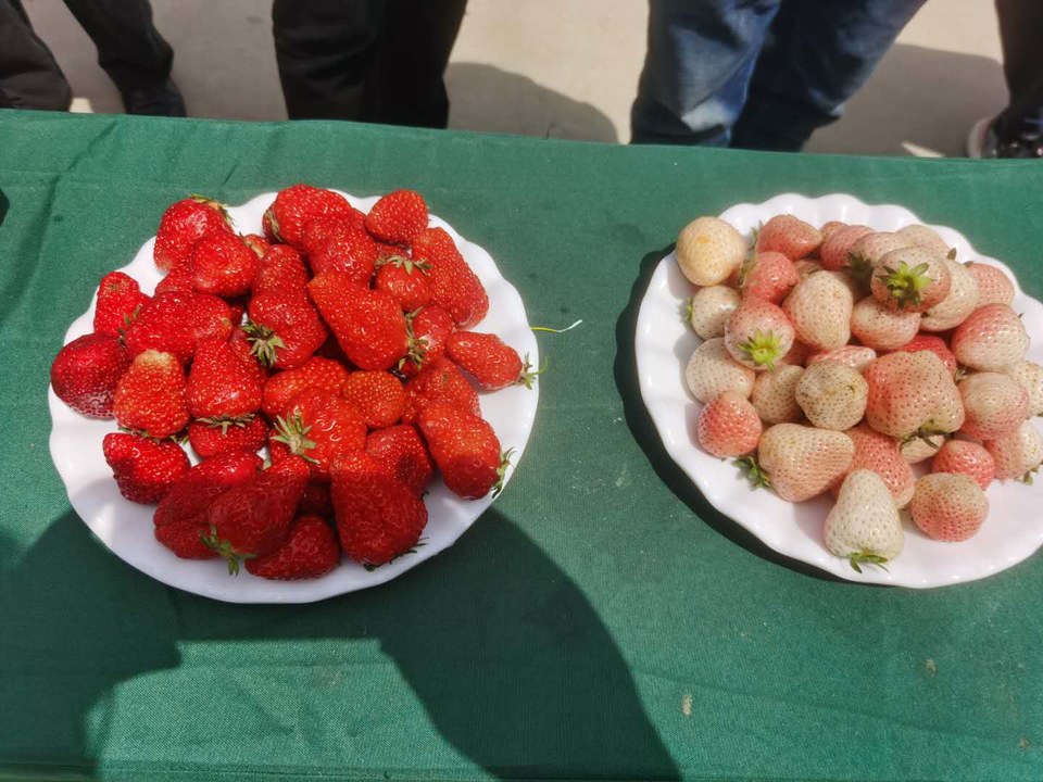 AeK5fgjKJcJ4HSjzubswBSN6Cnq2FwCWp3LsAdmjZ5IyLUn5tQ-HrwnTECOJl0Ue