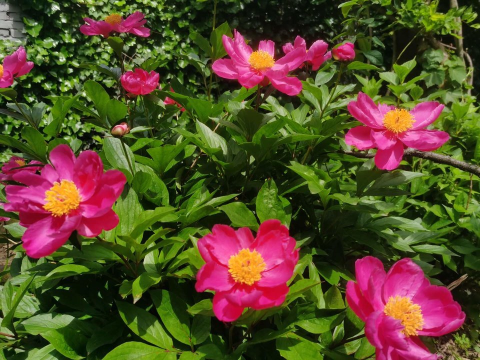 mK5G8ZqjHXLyyt7tdlXHAXYEXHeAQxrzhkLnWp82ZXtYyuNm-2Tcn5_BCYOZiKrY