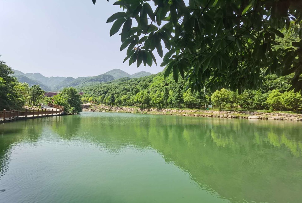 dVpYr-dGRMvovTKbrbkxM_vSo5SlPCIYFY40nNkcQBjy4kx_zpPW1e3ByN8rL44X