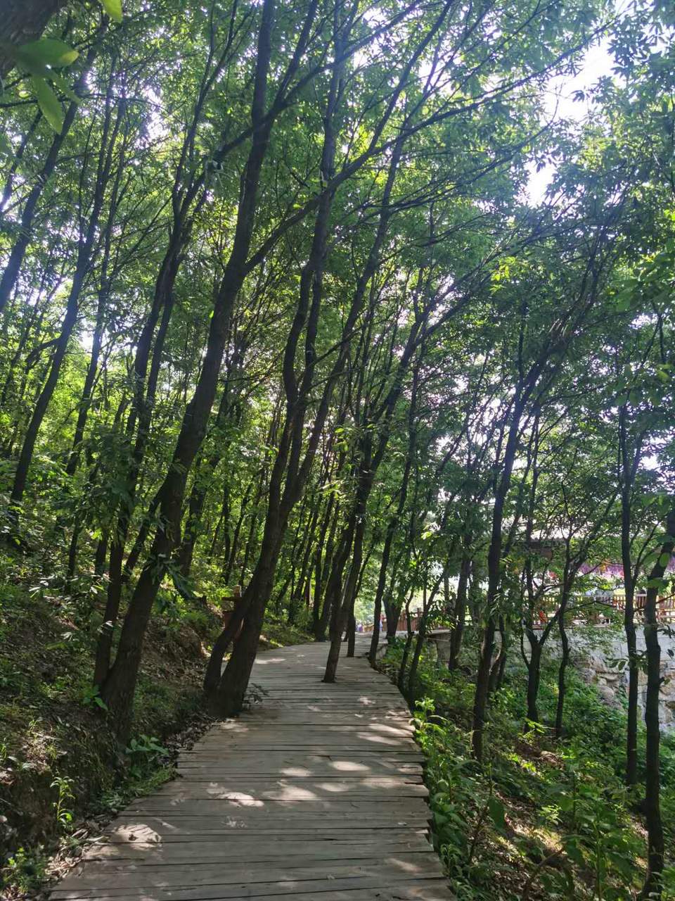 f9zRh5FIjPPHKkEGA4s6oEektbsTDSthmmx5_U6Kwq3Wg6teuosMfmjSu1tNDoo_