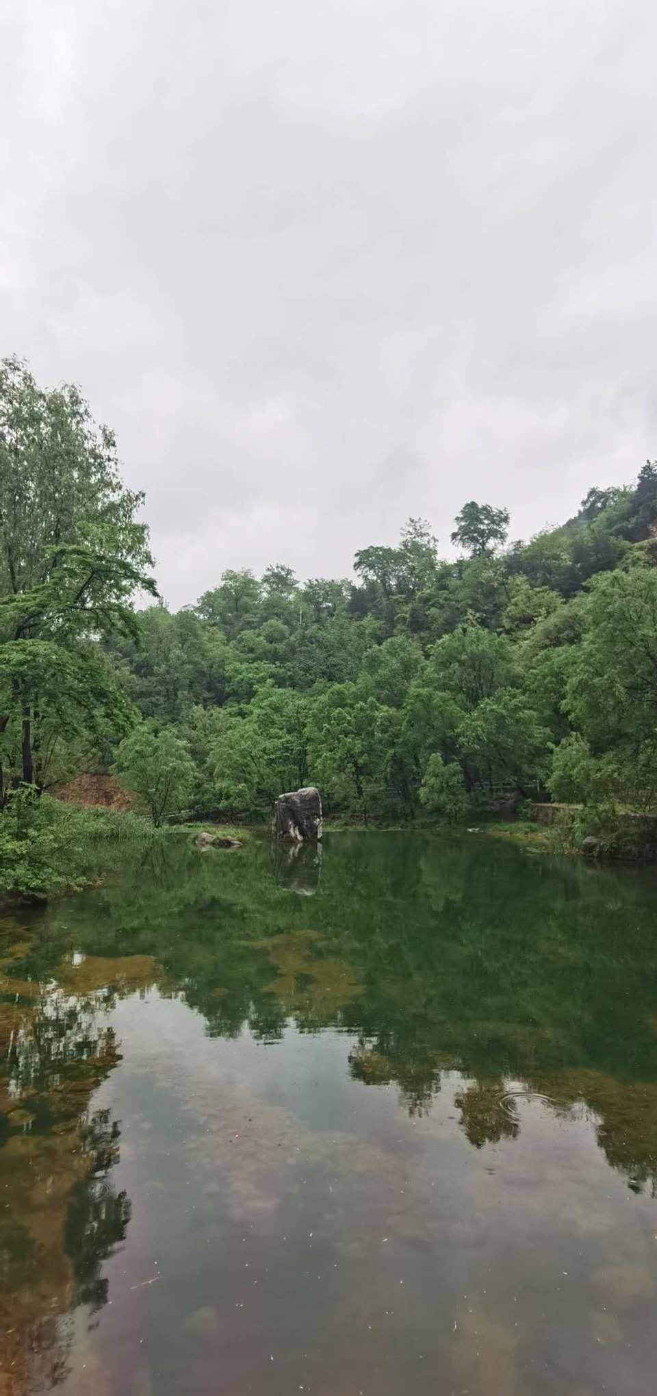 MK8McdVEGumxaqpsOaF703HPqBbHwuA3Fvh9f7eUfnn8r2eBotACEwYTX1Im-NwU