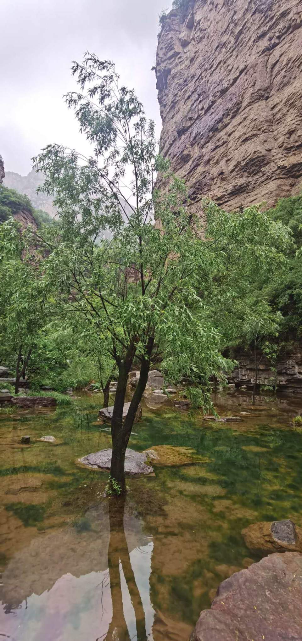 zP5Oq7IME3K5MaC4spF4MZRl29klTp4bNGcN0LGve6IYX8TyRqowgQ2jbARLY6kj