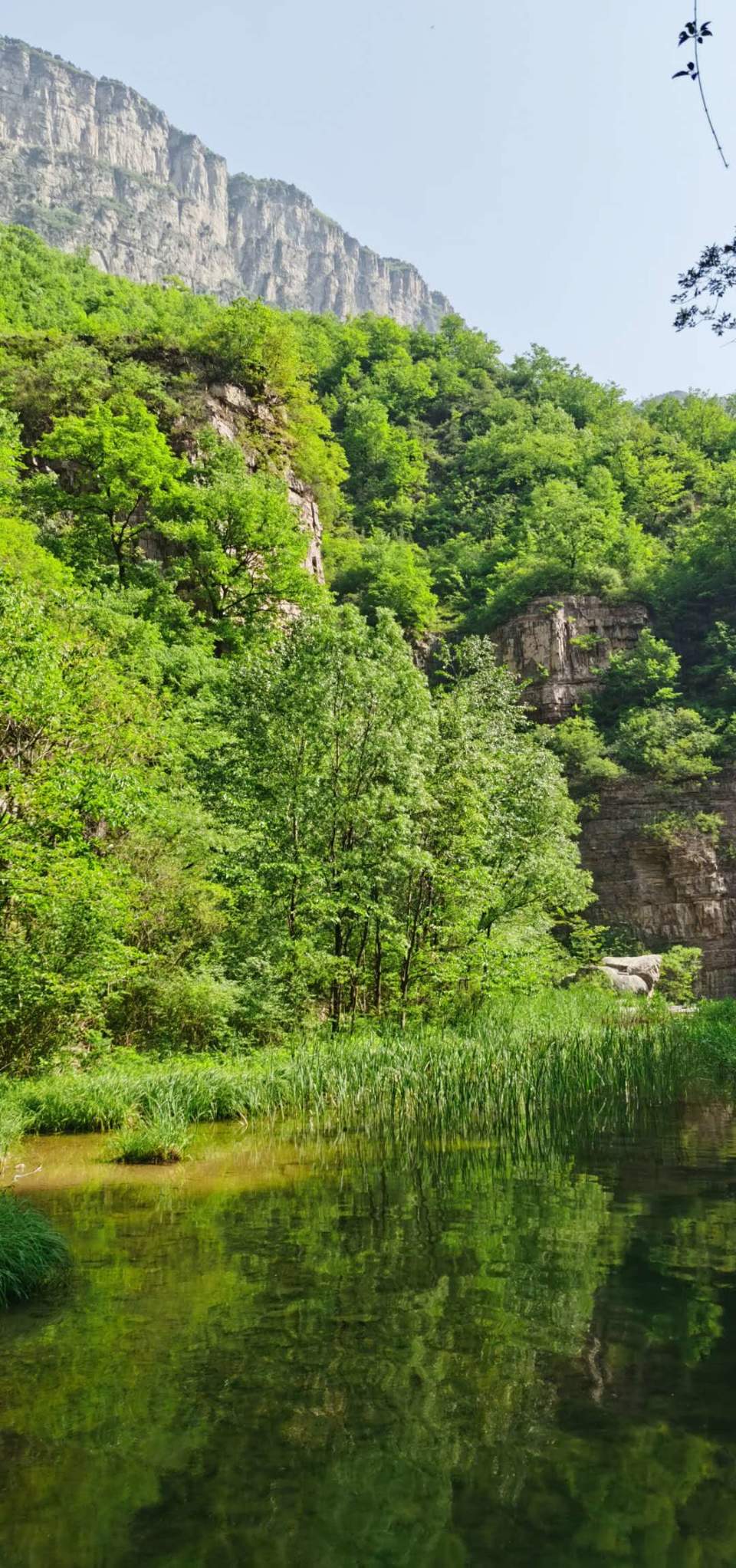 ybYl-556uLaYYUBniOfB_Ska62Tx2hLLErlG4SzlGLQY67pqqh3JX11DqyLJ0Fmo