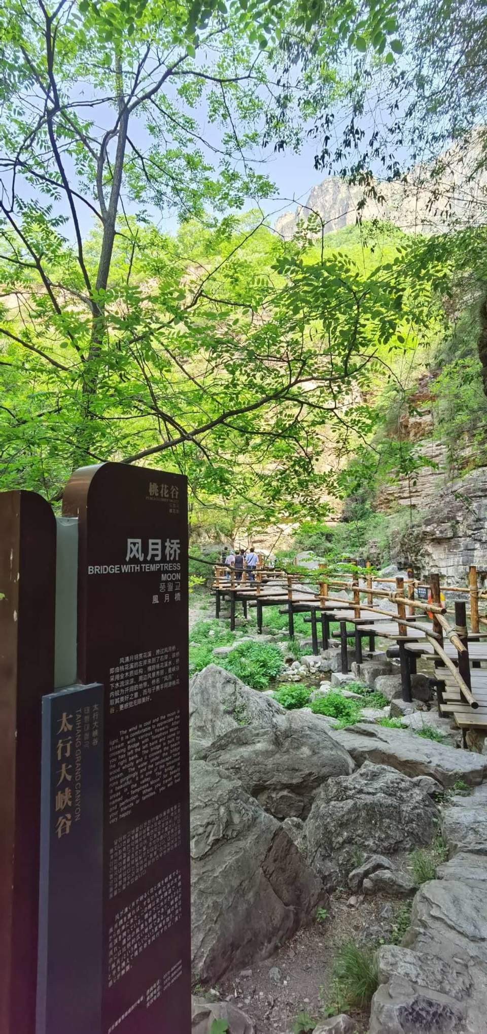 bIRAR5PJC29llMzwpwhST-mJ5f-tsMGj2WC-q9xdoMmZ21_NyDpUPNDOUM2UuyJB