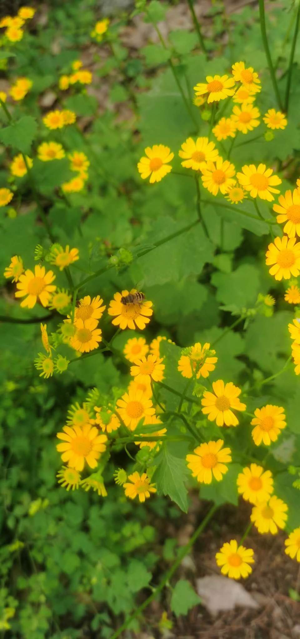 HG2l_o61FzswQ72gf2-hfPZVlOiWJg9nzkqgTVhkenw8gcVPFRD5nbV4LGYD9c6i