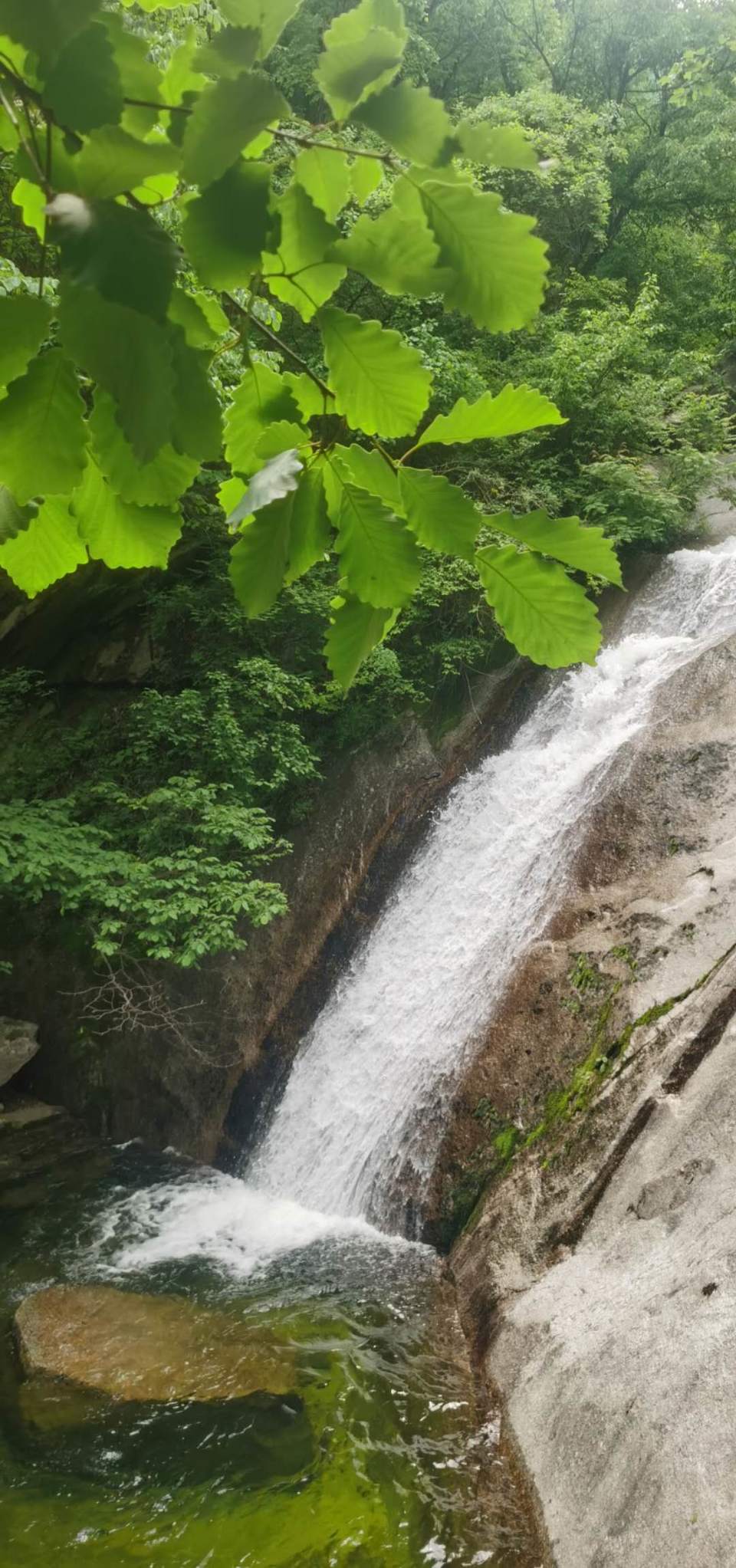 o8mheLo1wPLoXtvCYAxiuRhlc9l5Gp6CIGfcab28F6tGhD0N0LQBYNSdN0qh4J41