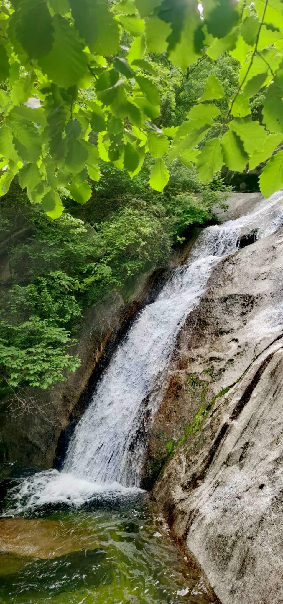 NuPJHZGm0x7rL6kMEz86sVOga3Pbirc0iAbRC1d3vSESUombXD3s5xUta7aAt3uz