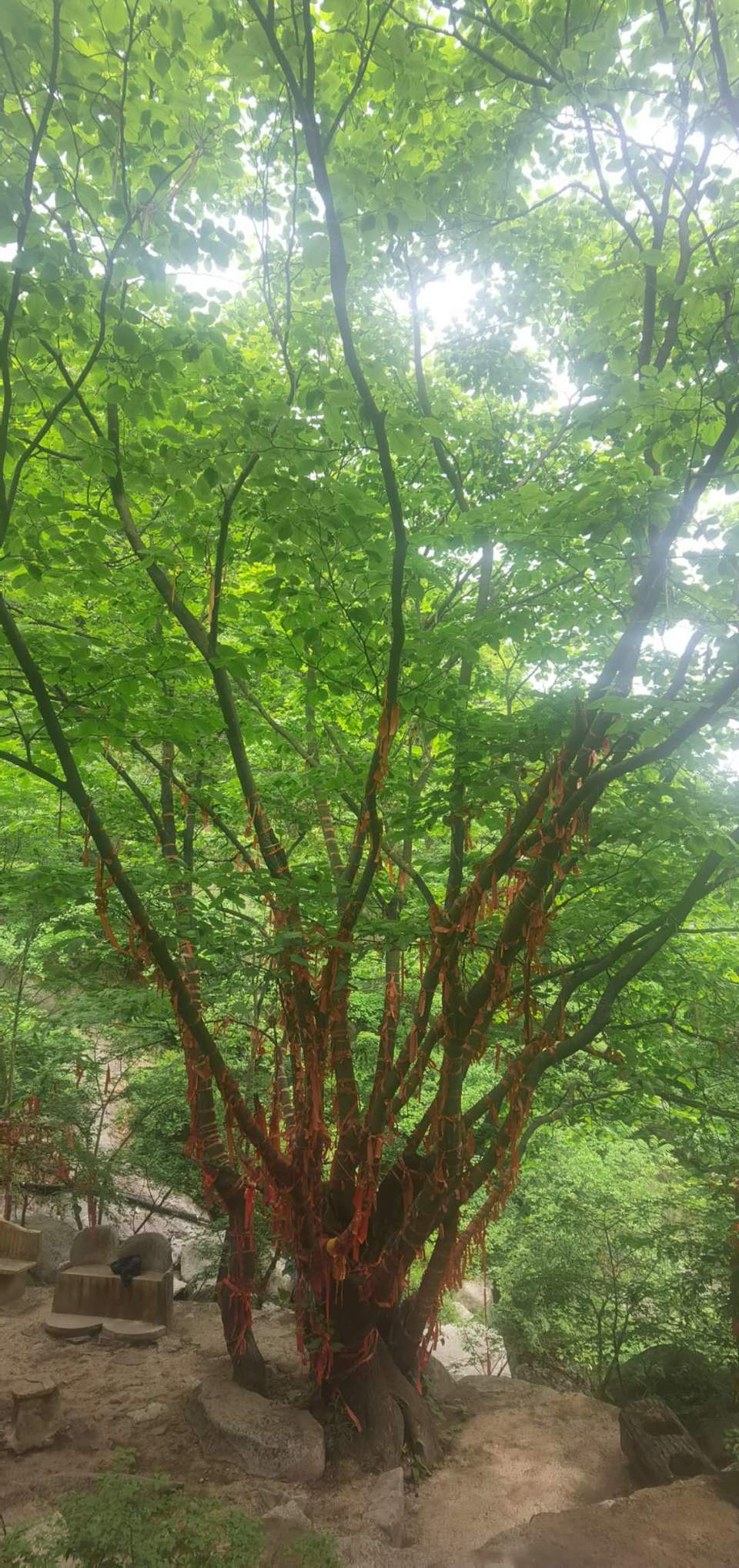 MnOKyo10NB2tfCTqSWThIY_n7UVIudtSpJXMcgvC7csMSohdjq_4fP4zPkY6vsmd