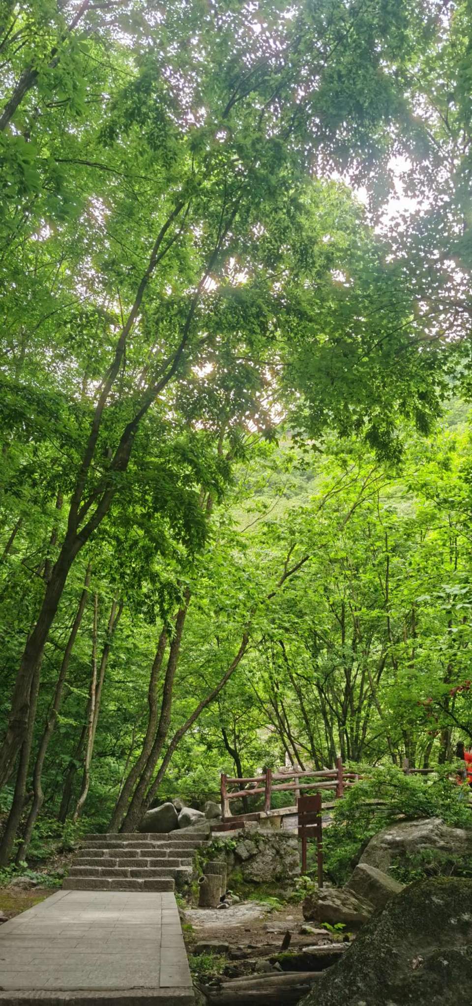 CSBSLqrkygalIeJF-rQehqZ-d-p-OsBhf0jVSncfHgVk4C9ou4anwwE66PB26NiI