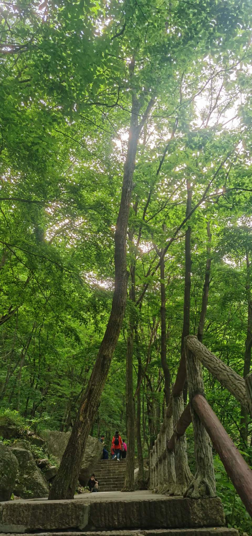 ce9MBGZTKZ4SN4HjgFWE0HyjcDvhwNQqRMeVVn_oQtxb2Sso_W0iqU23Arlxjhlz