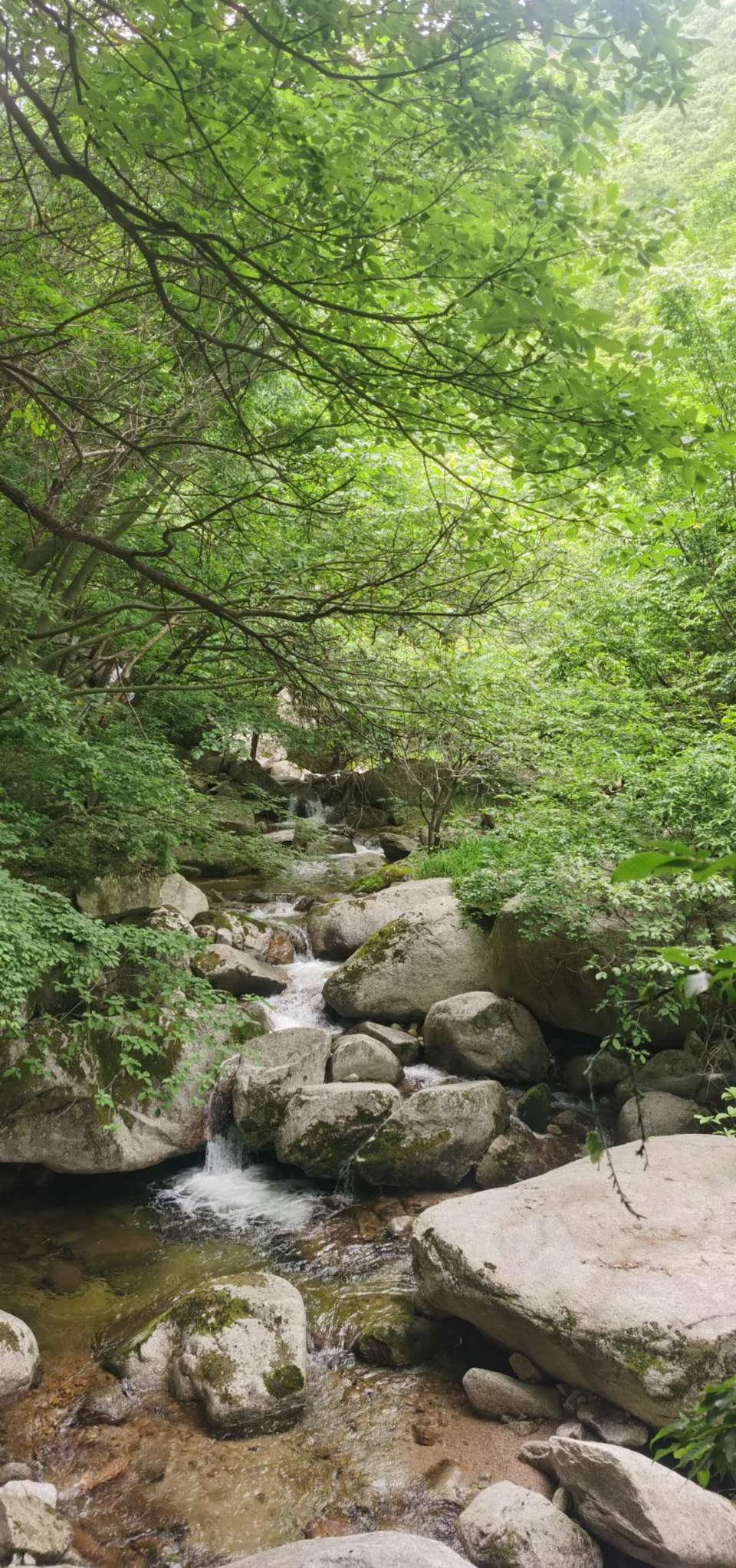 mfjUiGjutVQtStk6rt15HgPe1O8obVmIArvdGoJo9G0awIqh3pRsknxGZNJaN3zX