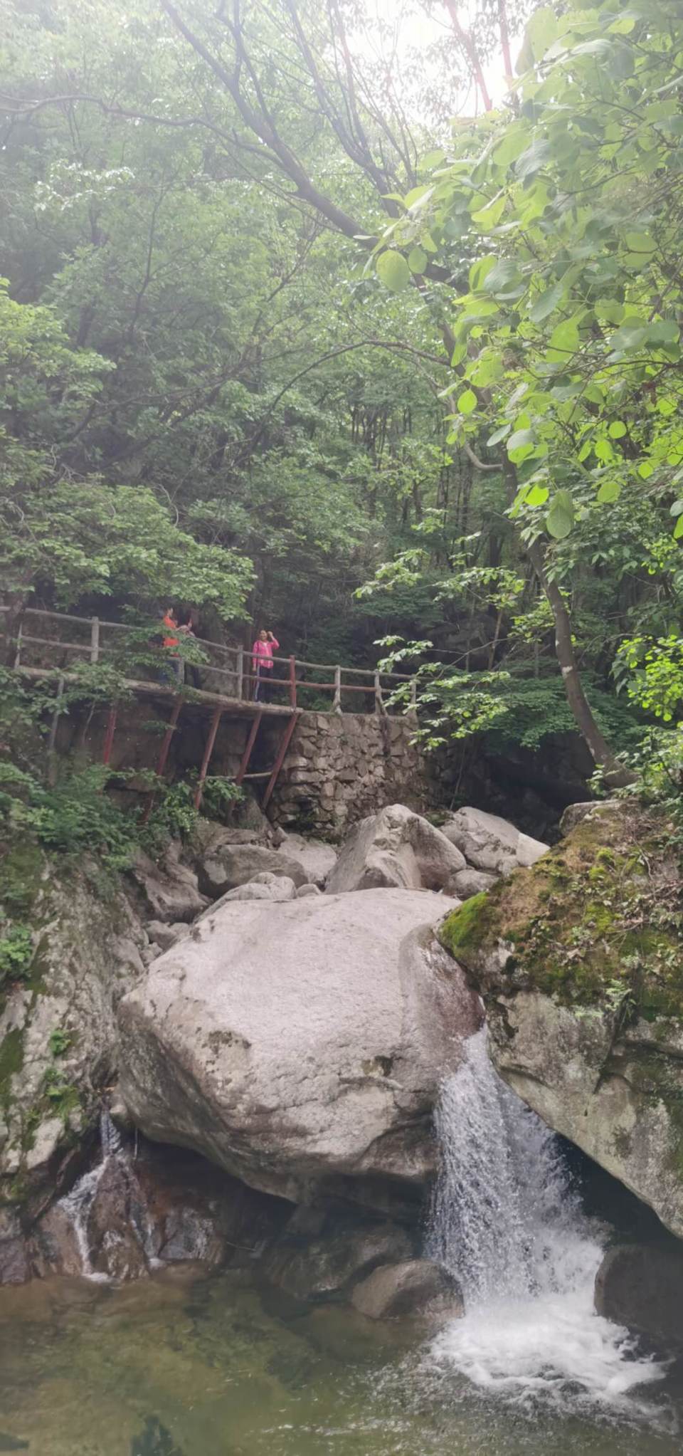 f6FAQh6j4Qa2CGjE5EyYD6eVmvy8DEXhElgrVtOkTFWelbumkH-f7K8v6jGhG2Do