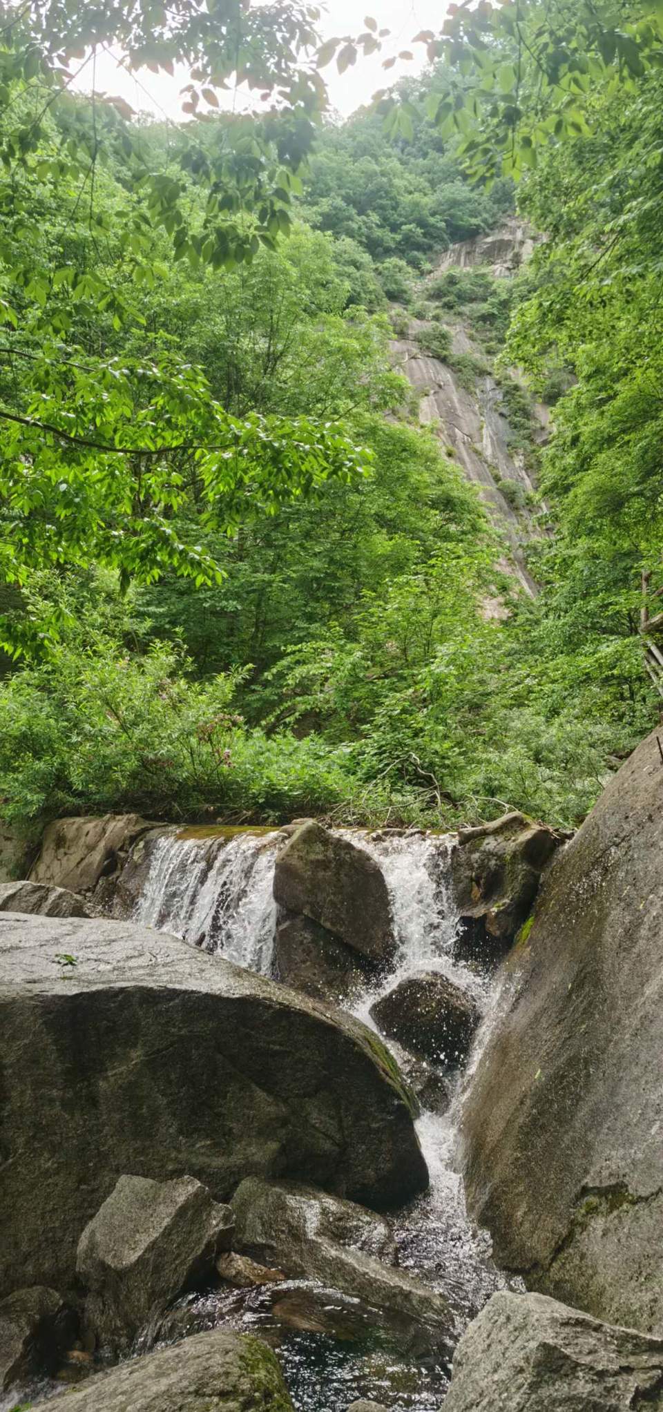 HJOHHJSCfoF5hzq77s7H6OTbUAwrDPxT8FjUHvExB_jlNVsR-x15ypyR-wUGJYfA