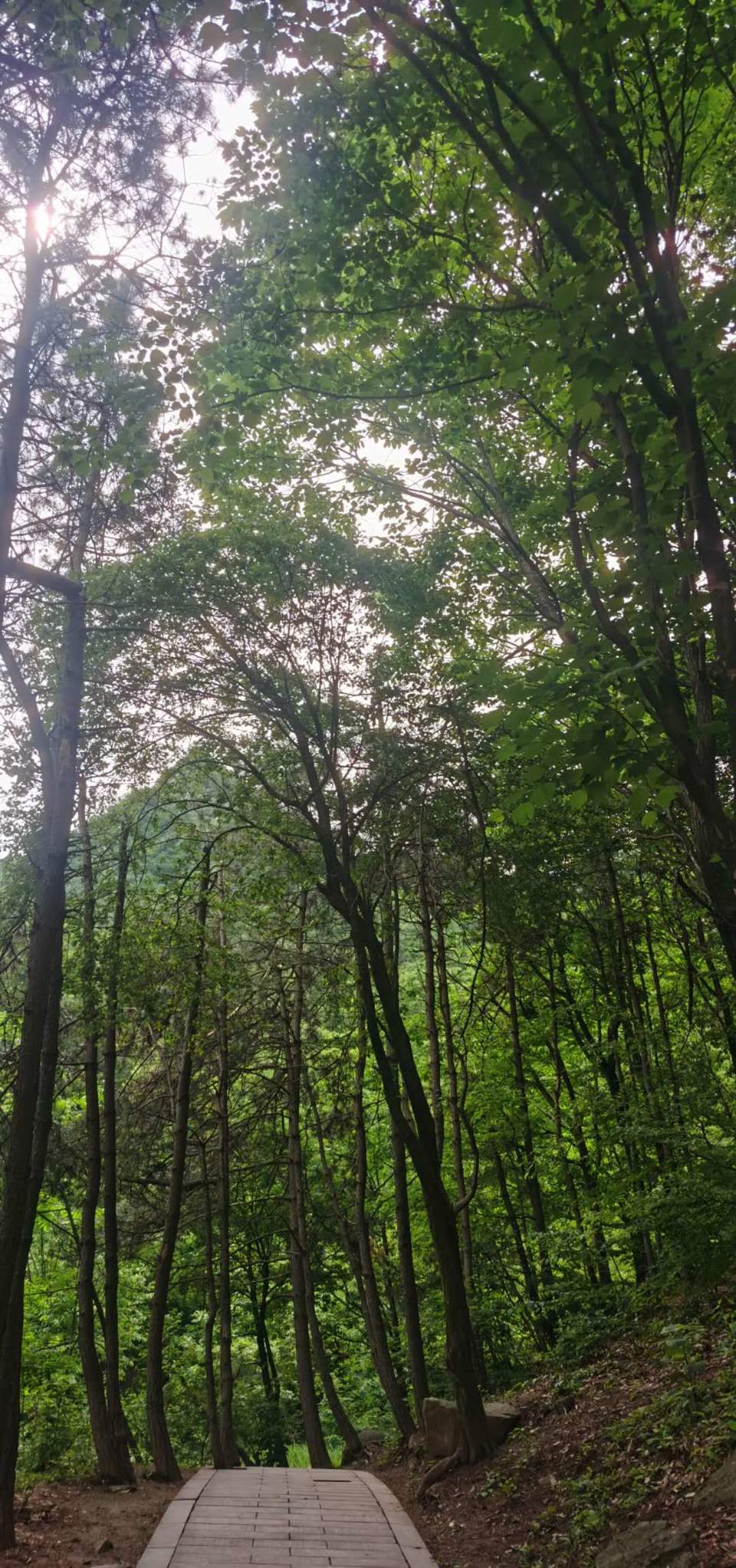 DNuhxe-EjSi7KaUTnwW-QmQ7yaK_2o5mgzxMZPk7TM2T-Hte77Z-gmBPqXsWciCJ