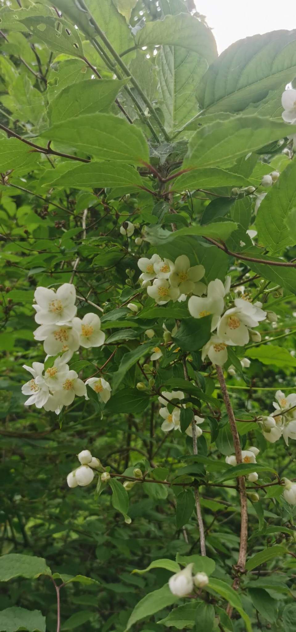 n8qvzh5MkdePiMxDO5-JL3qLrlMk1zQ6pAixTS2ktnnJ7bAo_12-EeQ4epW8d9nB