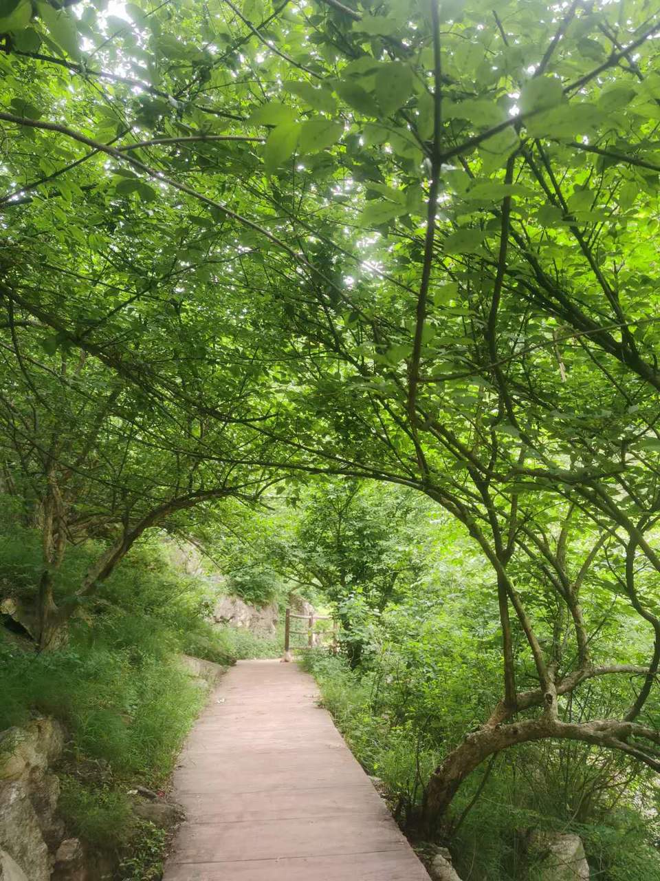 hKDYaYlqgmE76UVou5iCp9zmrb3ojjwGyuLux_XOp-1ZTSoHdLA9nWKJm32Rs4cZ