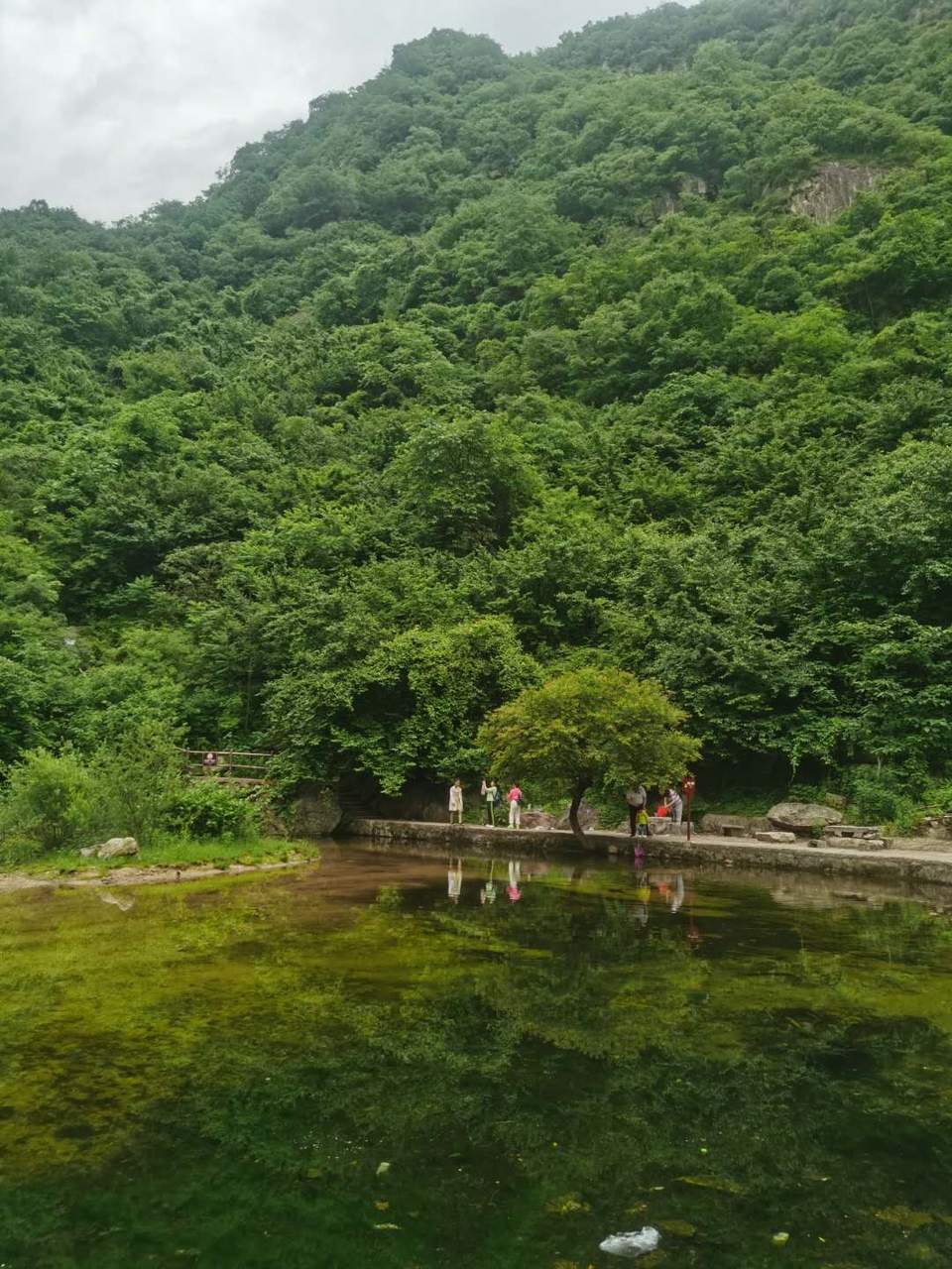 aqw3nt0KJgXqhMsDmGyCEsLiuhqY2dI0mwF4I8RFg5GIf5Pbm4hEuEMGVnfLaQv9