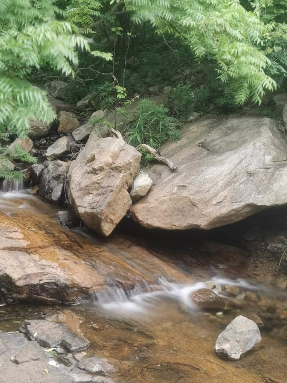 RIYhgENGtU9GNAo8xWQeyeYlB60QcKI83H4fjHM9r_euzxKGJWFV50hmmo5rKL_d