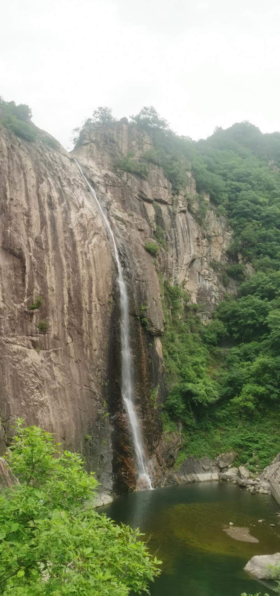 1WNOYheuAr1OQ6hu2xirfLS1HufLjfbij0JGsKrJdRreAapRfGLgm0XhM6ctHhRf