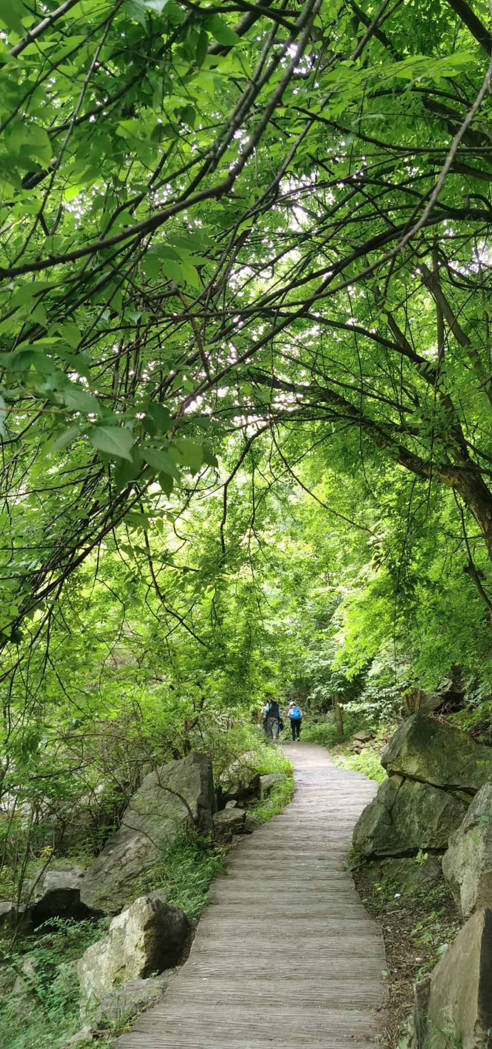 qzTypopNaWEcwAVfmV4v7FluZ5PGyzhpZCe4bnMYDGyr_enx42oOENV51jRUovMc