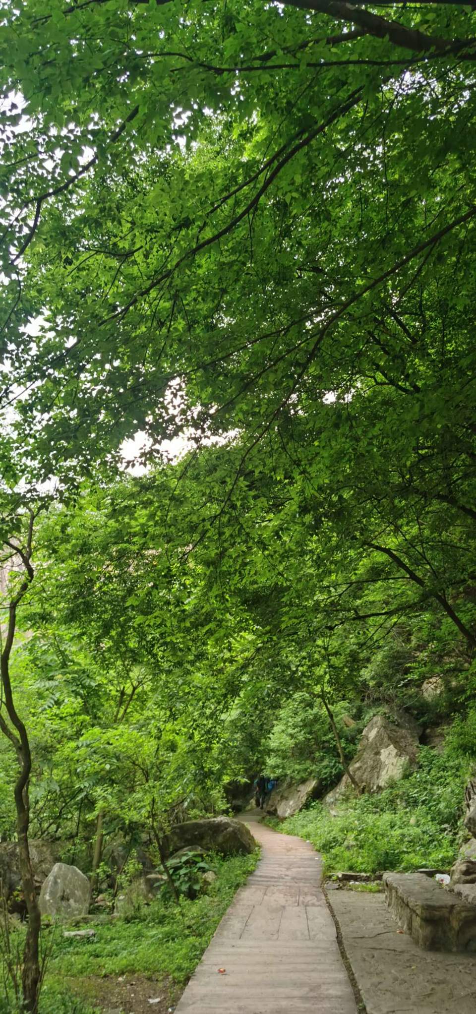 vAtpHivwtc9YJTcS3ABnK1LzarA3P8hLwAb-pSRa1QRN85vbz45z0Hu9tS-dr8zV