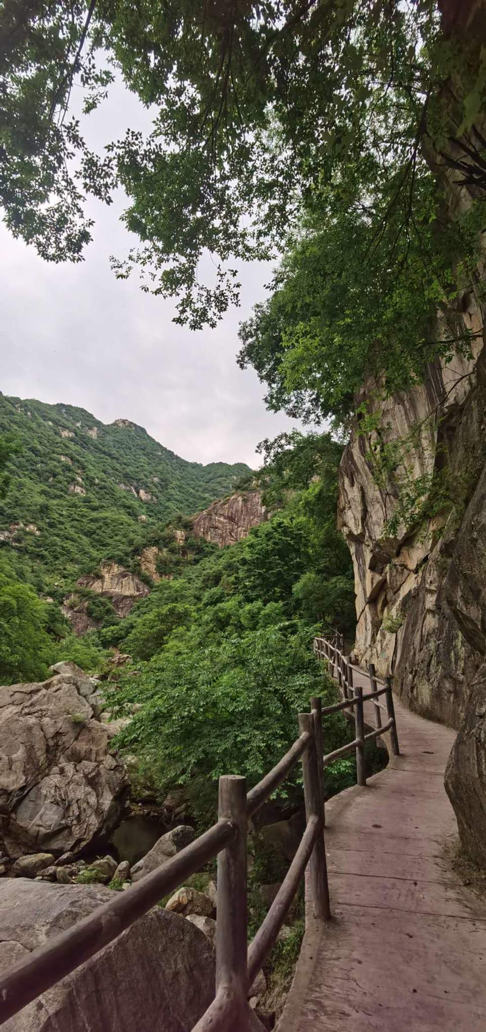 GgEHyLkjt9fb7d4Y552ZNLYP6KMD61PZH-5whBzf4SLSXb1bjaLayu8FxICTW7n_