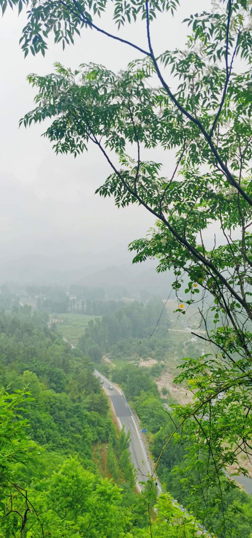 F9mEVSF0jSe4-clY6Y2ZJLteO3NcnTIB4d63sltPAudwVxfKLx5He6KeS6512STn